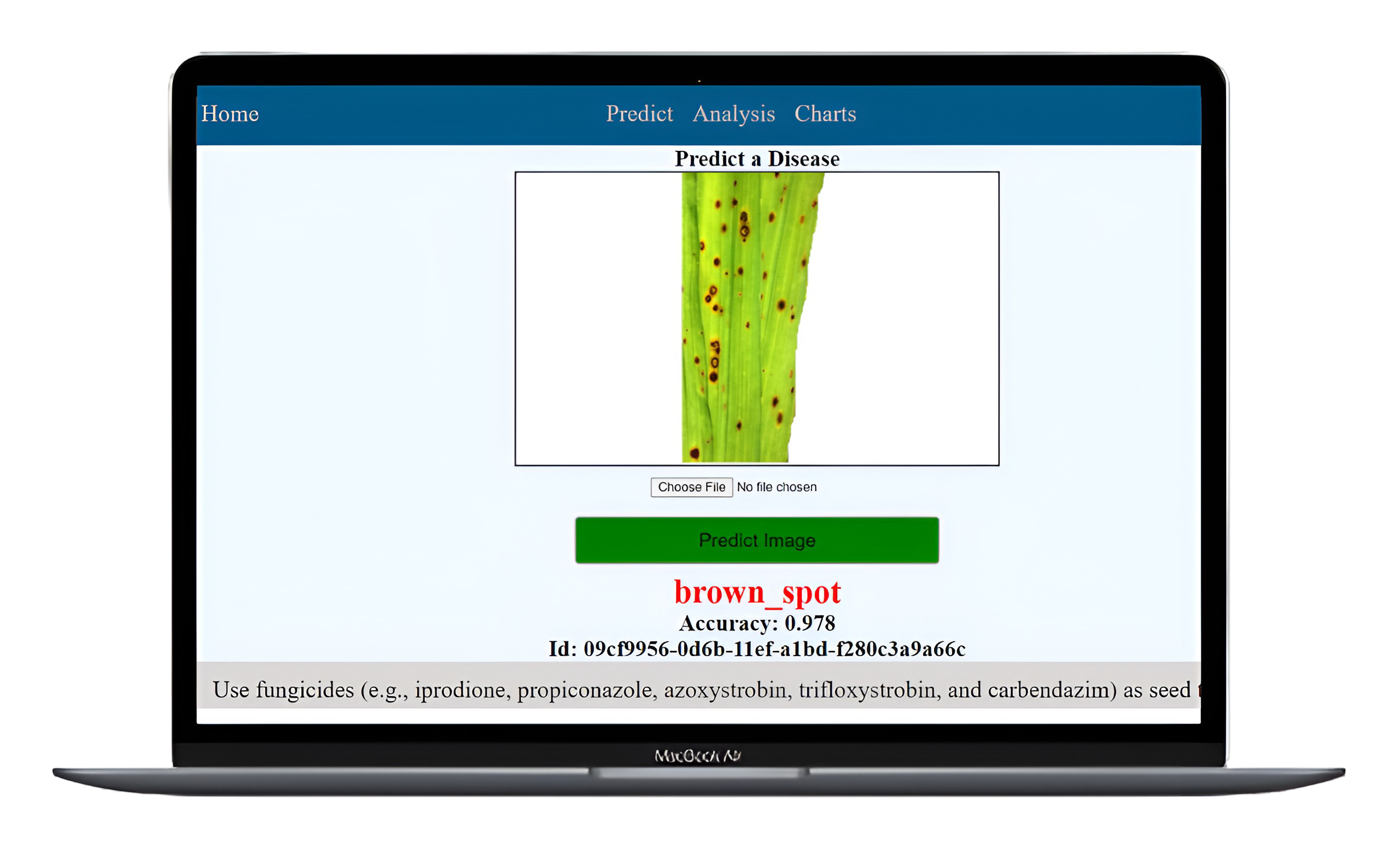 Rice Leaf Disease Detection Using CNN